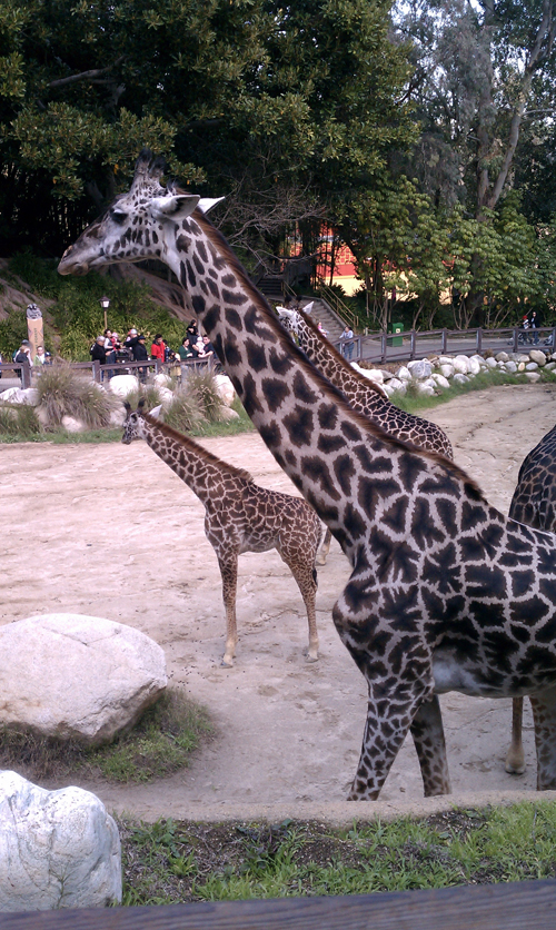 IMAG0651